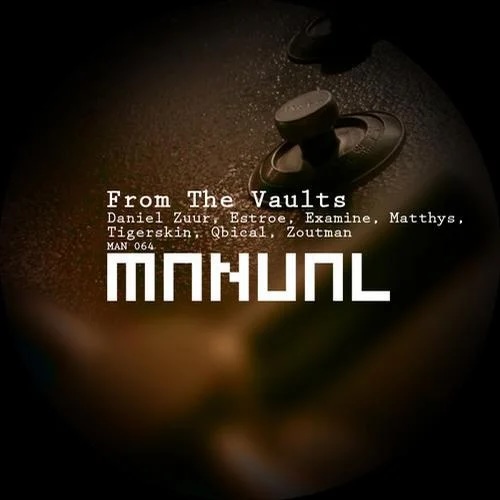 Morons we are dub Artwork